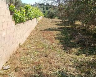Land for sale in Alhaurín de la Torre