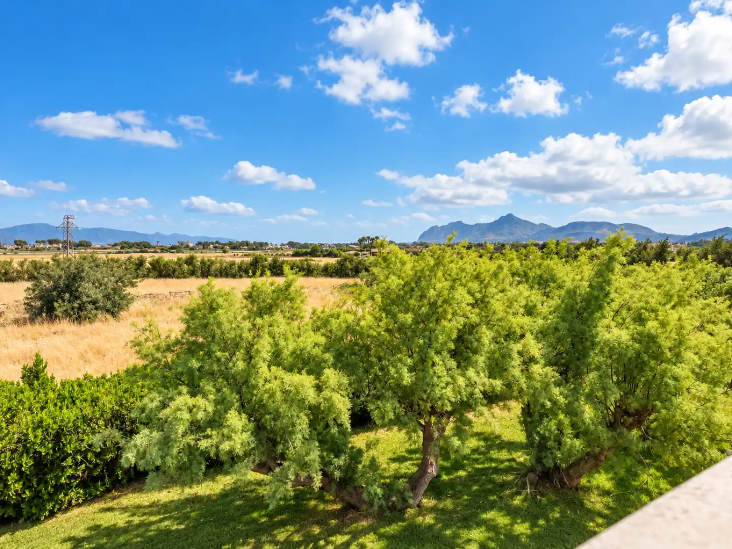 House for sale in Alcúdia - de la mar 2, imagen 13
