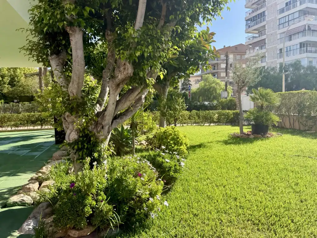Apartment with lift to rent in Torreón - La Almadraba, imagen 22