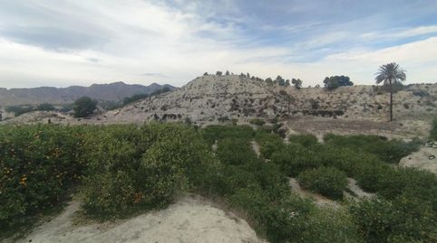 Descubra una oportunidad única en el corazón del Valle de Ricote!