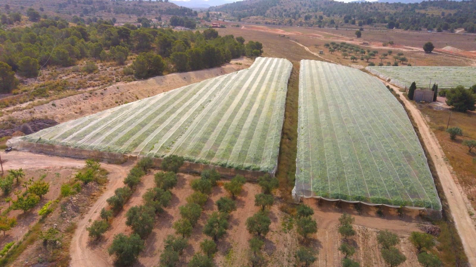 Jardí de Finca rústica en venda en Monóvar  / Monòver amb Aire condicionat, Calefacció i Jardí privat
