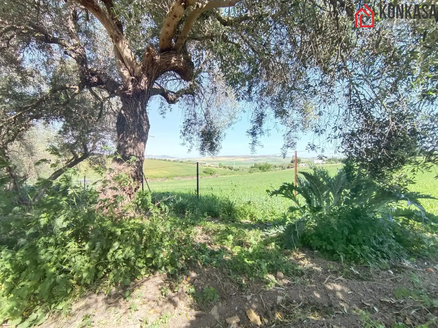 Casa rústica en venda a Arcos de la Frontera, imagen 33