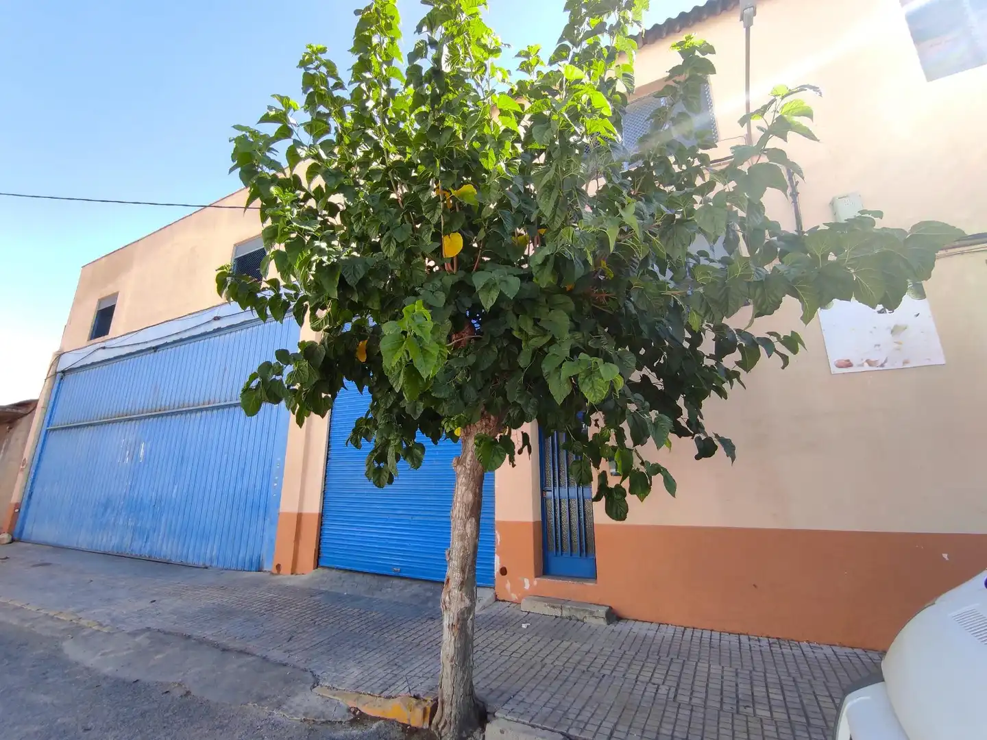 Nave industrial en venta en Monforte del Cid, imagen 2