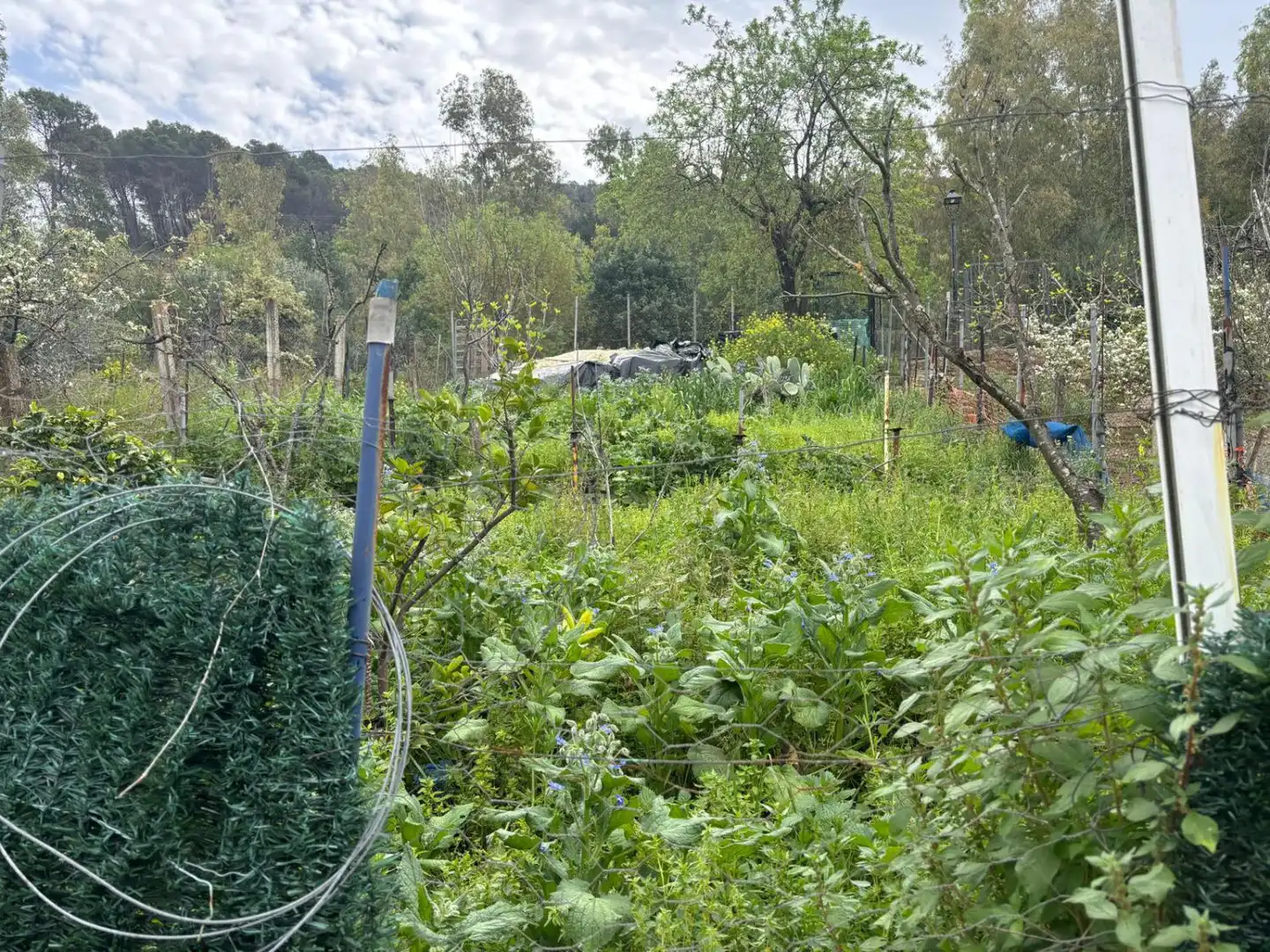 Casa en venta en El Bosque, imagen 6