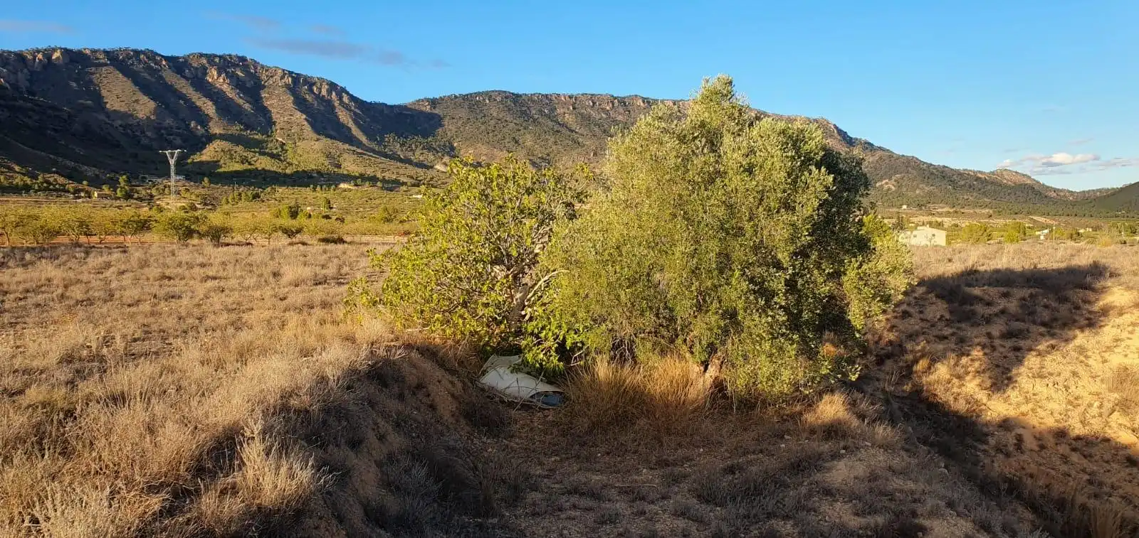 Grundstücke und Bauplätze zum Verkauf in Ricote, imagen 2