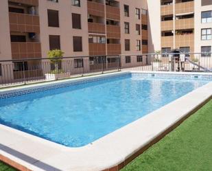 Piscina de Apartament en venda en Torrevieja amb Terrassa