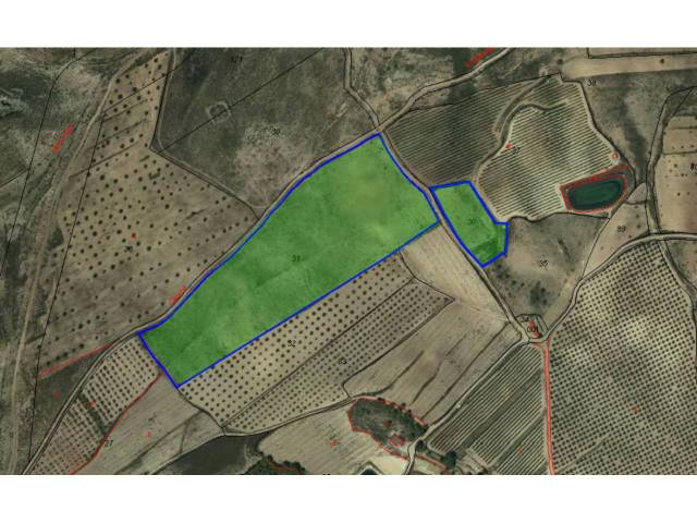 Terreno en Venta en 39 en Las Cruces