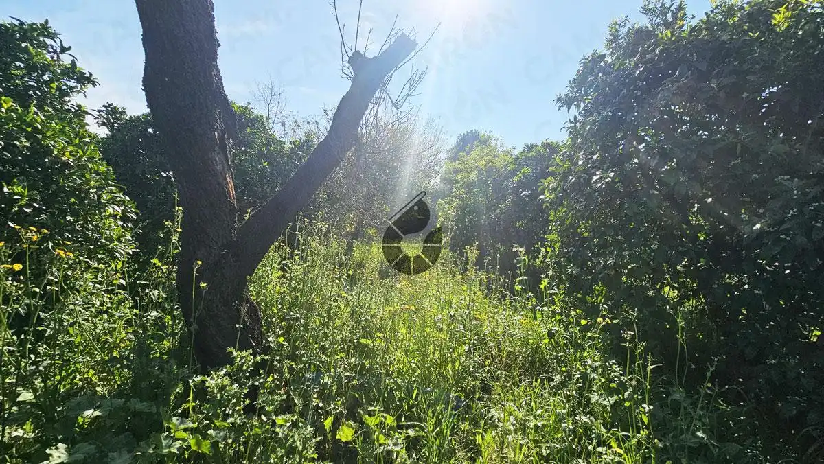 Finca rústica en venta en Almensilla con Aire acondicionado, Jardín privado y Piscina