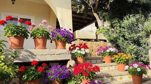Photo 2 of Houses for sale in S'Arenal, Palma de Mallorca