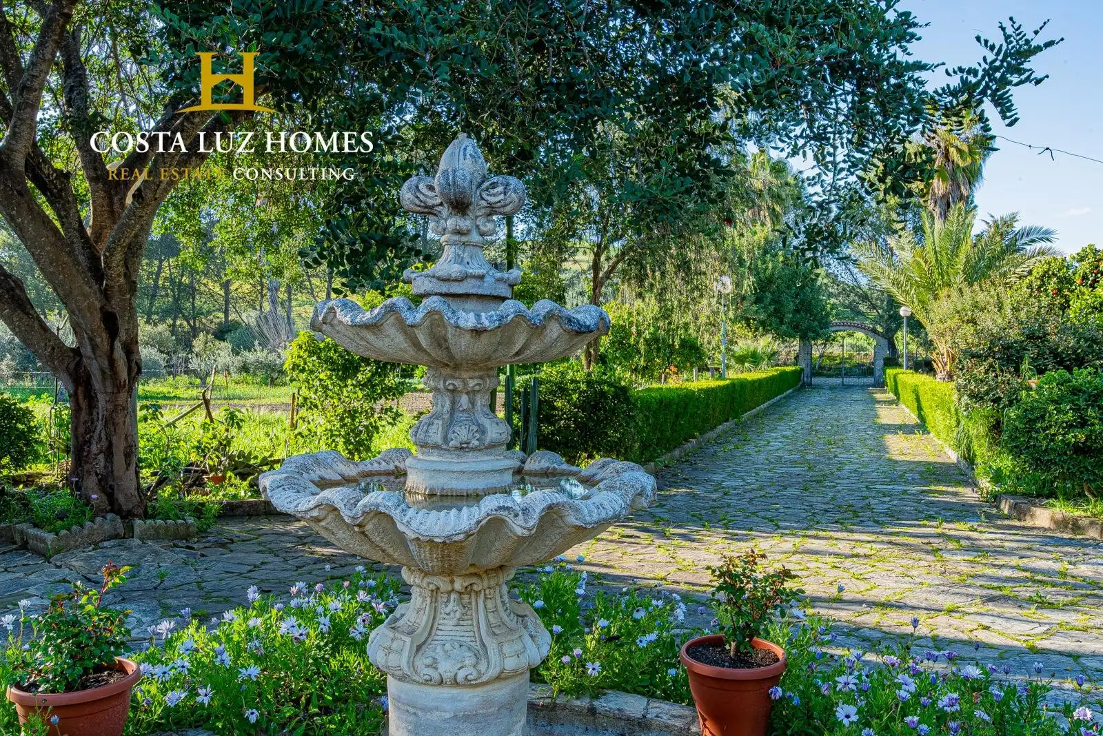 Jardín de Casa o chalet en venta en Prado del Rey con Jardín privado, Terraza y Trastero