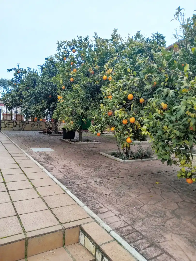 Villa avec piscine à vendre à Periurbano Este - Campiña, imagen 8