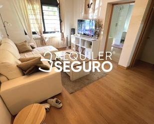 Living room of Flat to rent in  Madrid Capital