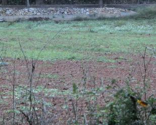 Country house for sale in Ulldecona