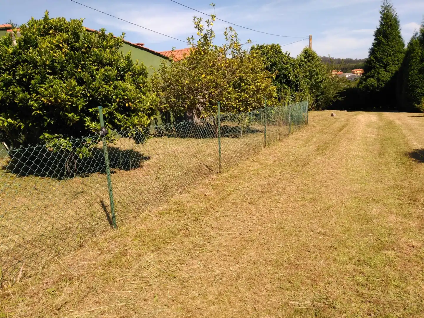 Terreni e lotti in vendita a Dorneda, imagen 3