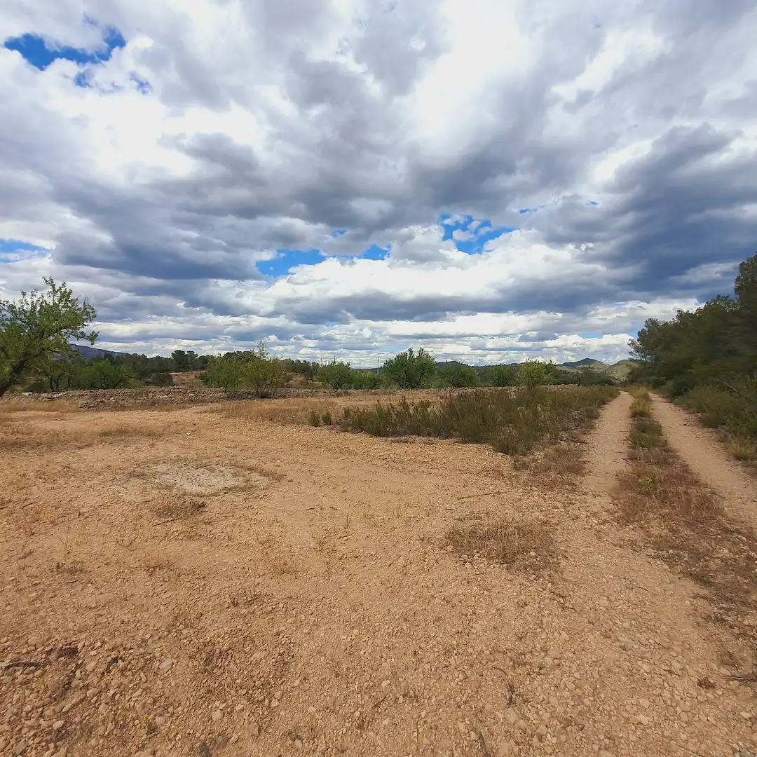 Rural land for sale in El Pinell de Brai, imagen 2