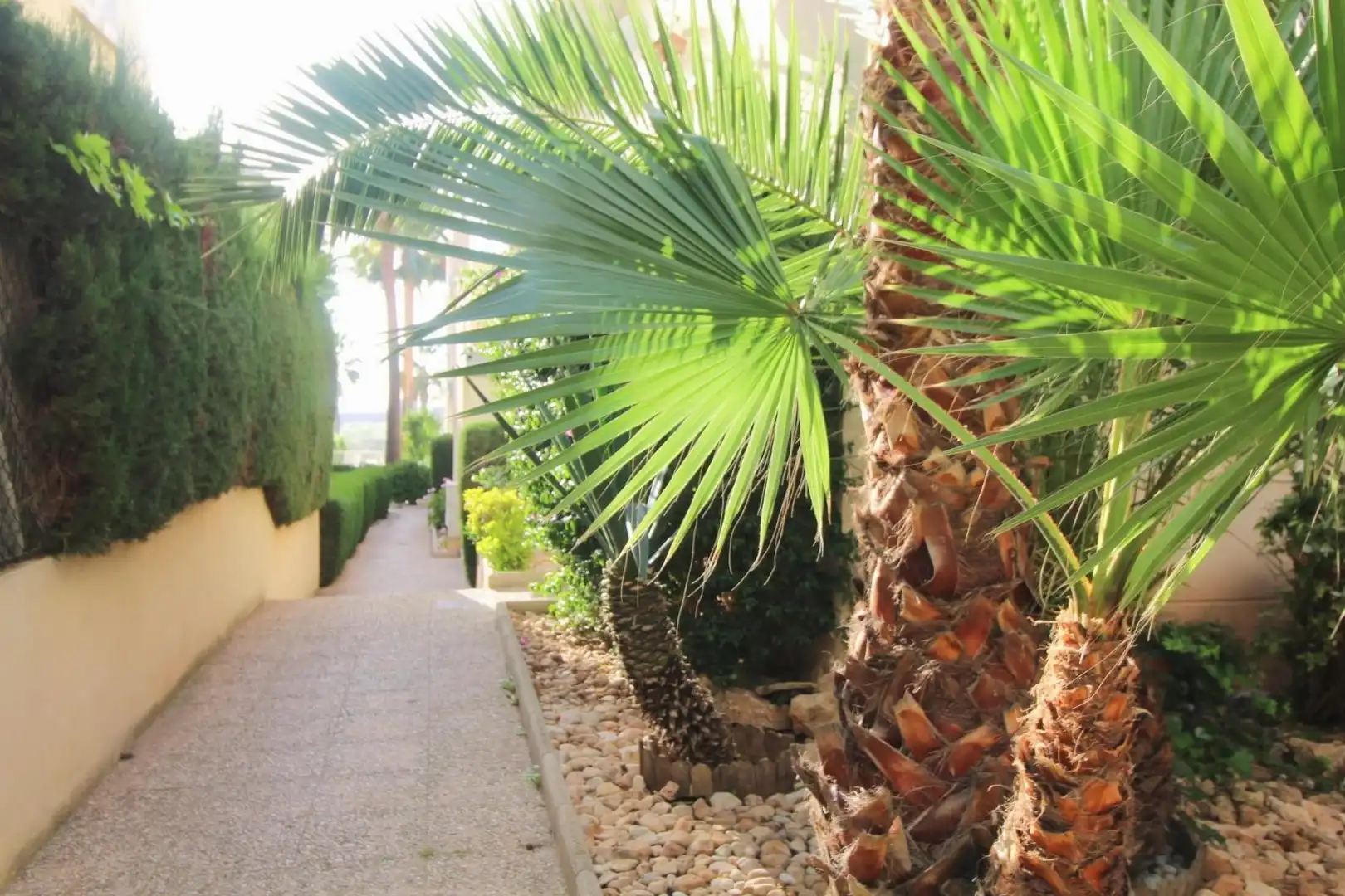 Außenansicht von Wohnungen zum Verkauf in Torrevieja mit Terrasse und Möbliert