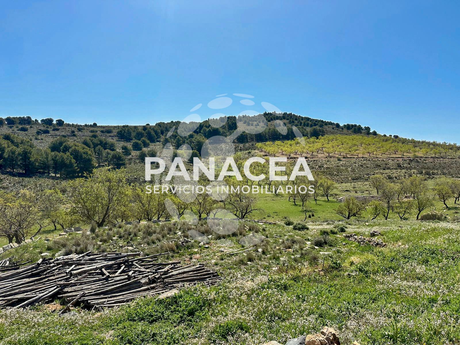 Finca rústica en venda