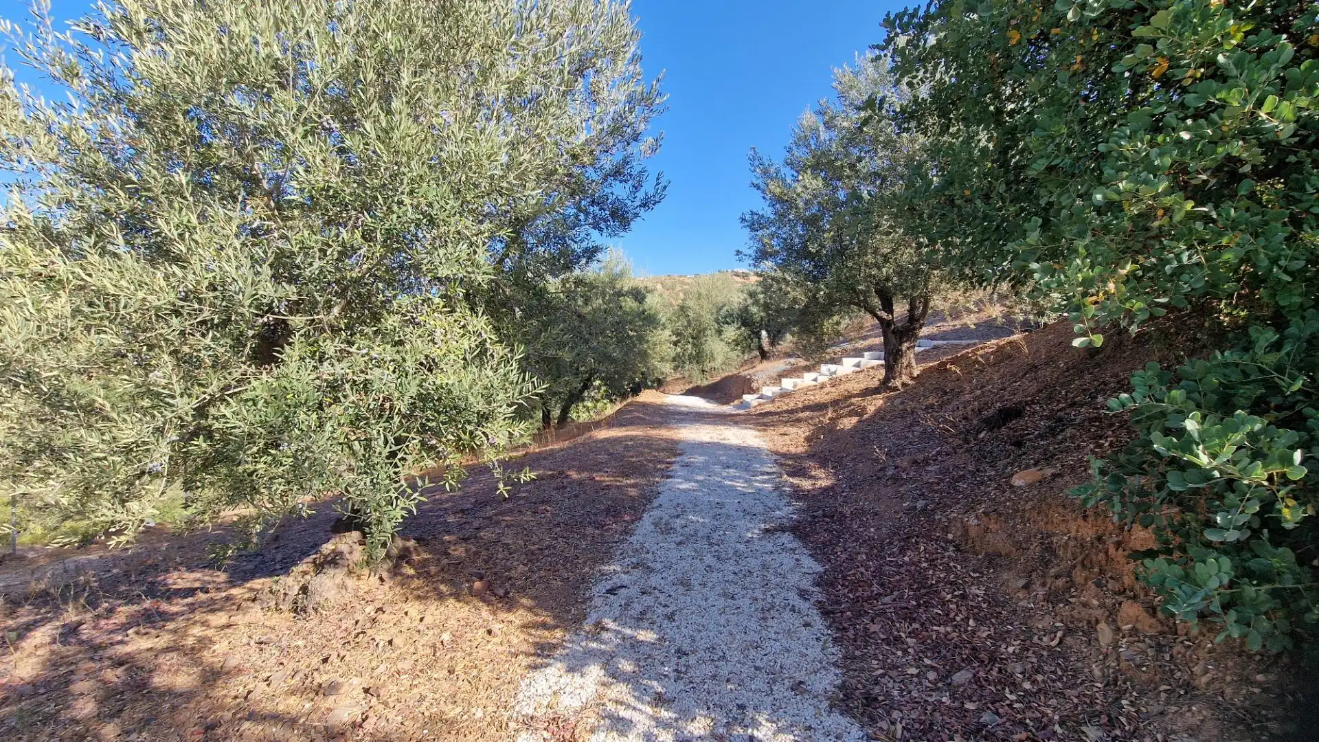 Vista exterior de Finca rústica en venda en Mijas amb Jardí privat i Alarma