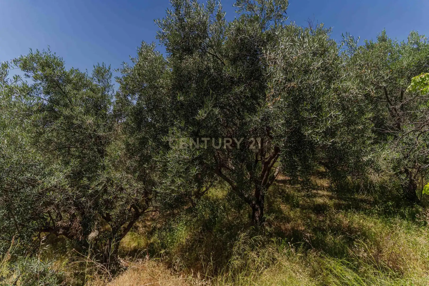 Finca rústica en venta en Carataunas con Jardín privado, Trastero y Piscina
