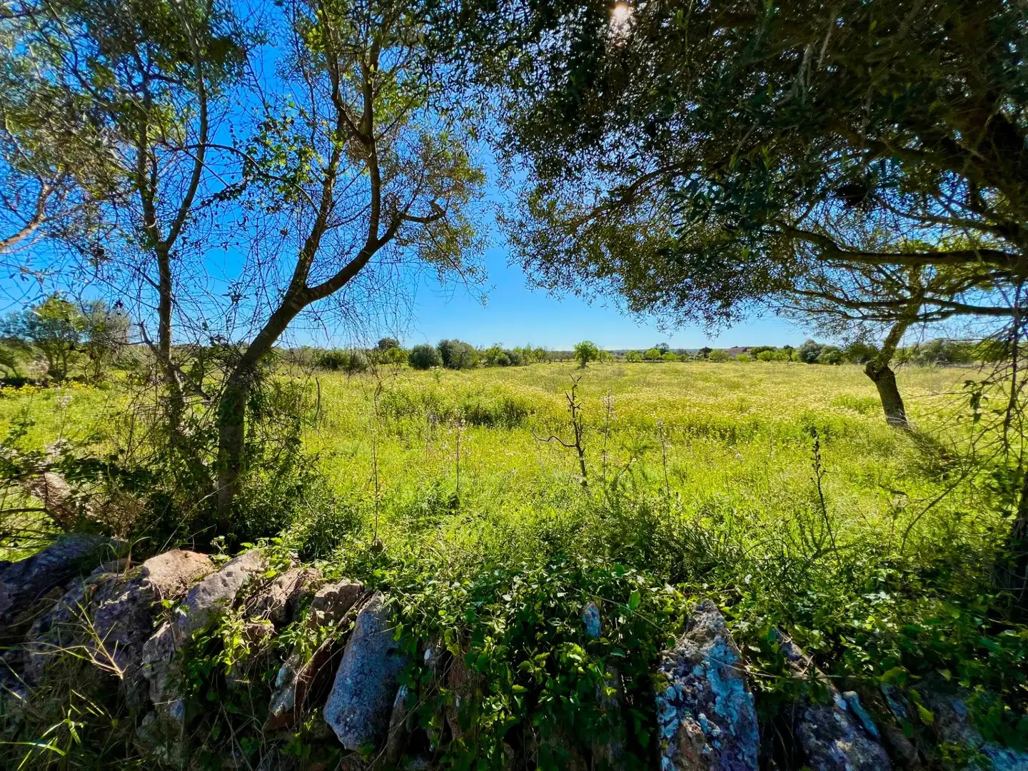 Residencial en venta en Santanyí