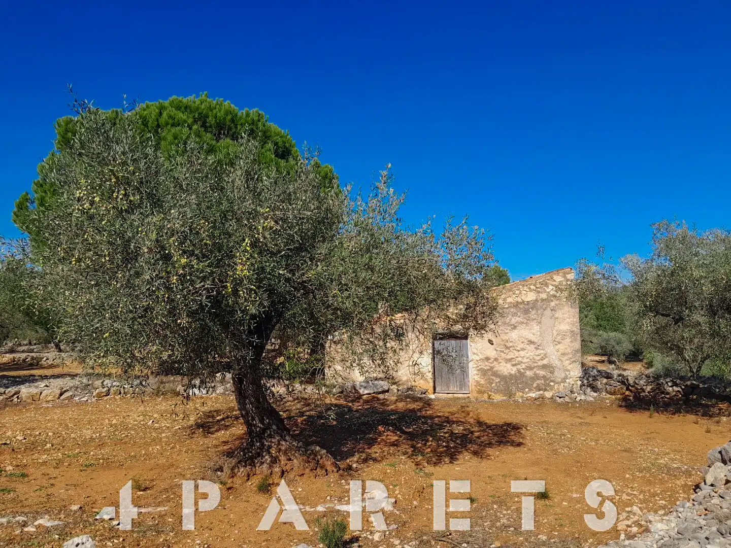 Rural land for sale in Cervera del Maestre, imagen 6