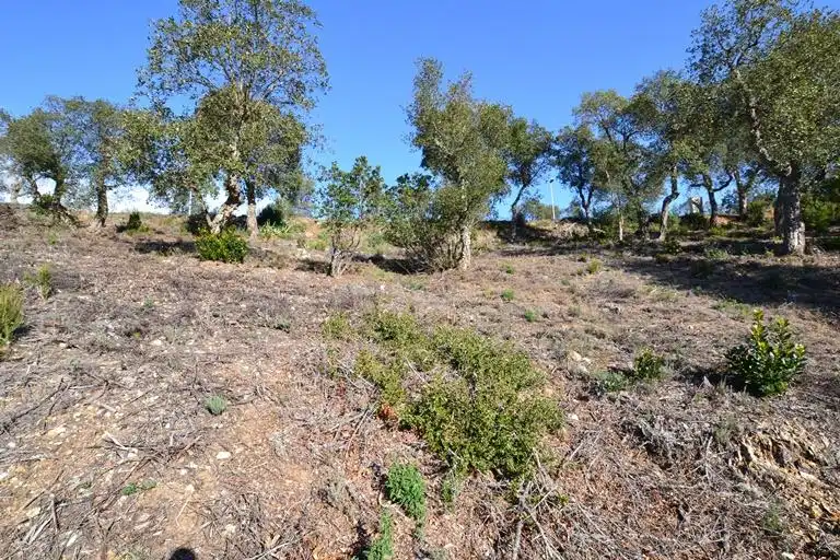 Terreny residencial en venda a Avet