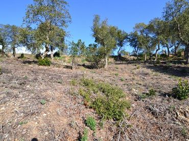 Terreno residenziale in vendita a Avet