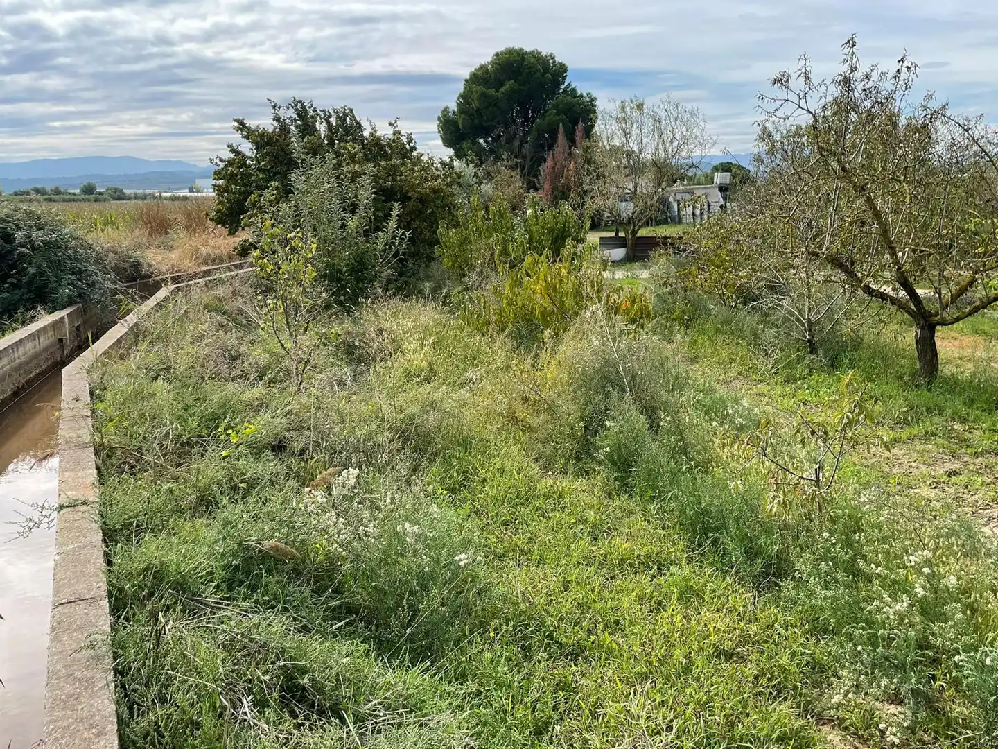 Terreni e lotti in vendita a Calahorra, imagen 14