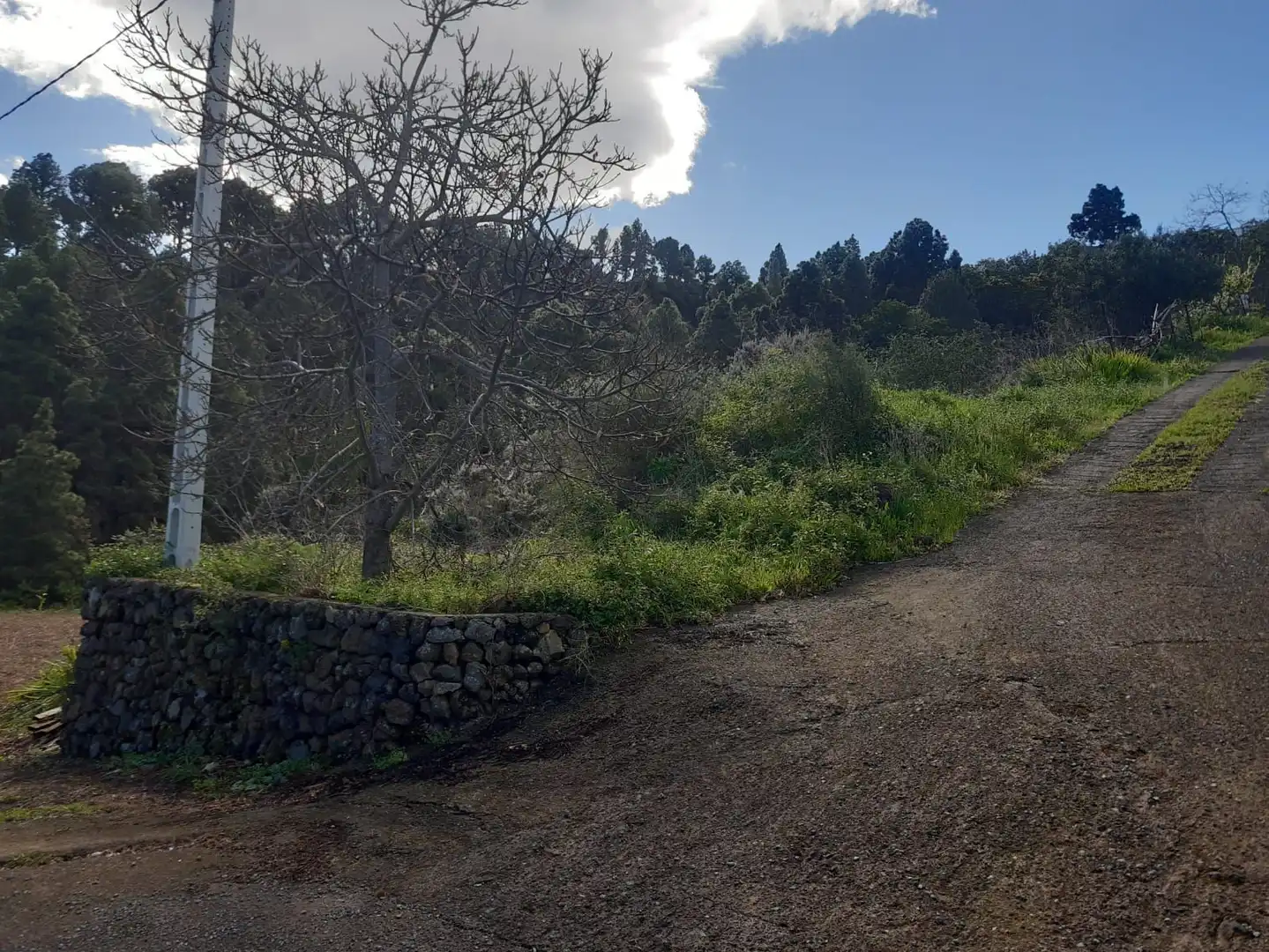 Terreno rústico en venta en La Vega - El Amparo - Cueva del Viento, imagen 6