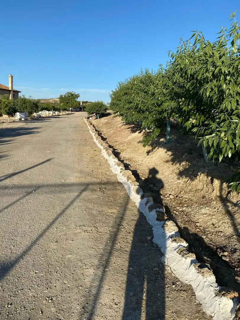 Terreni e lotti in vendita a Osuna, imagen 25