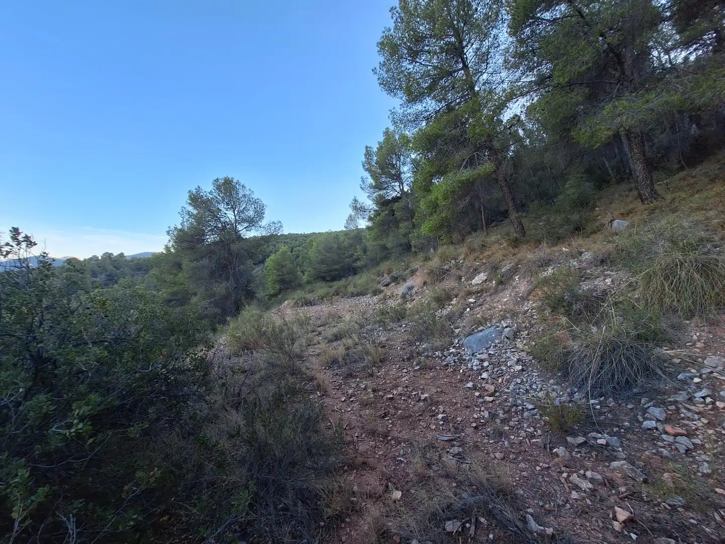 Rural land for sale in Castalla, imagen 15
