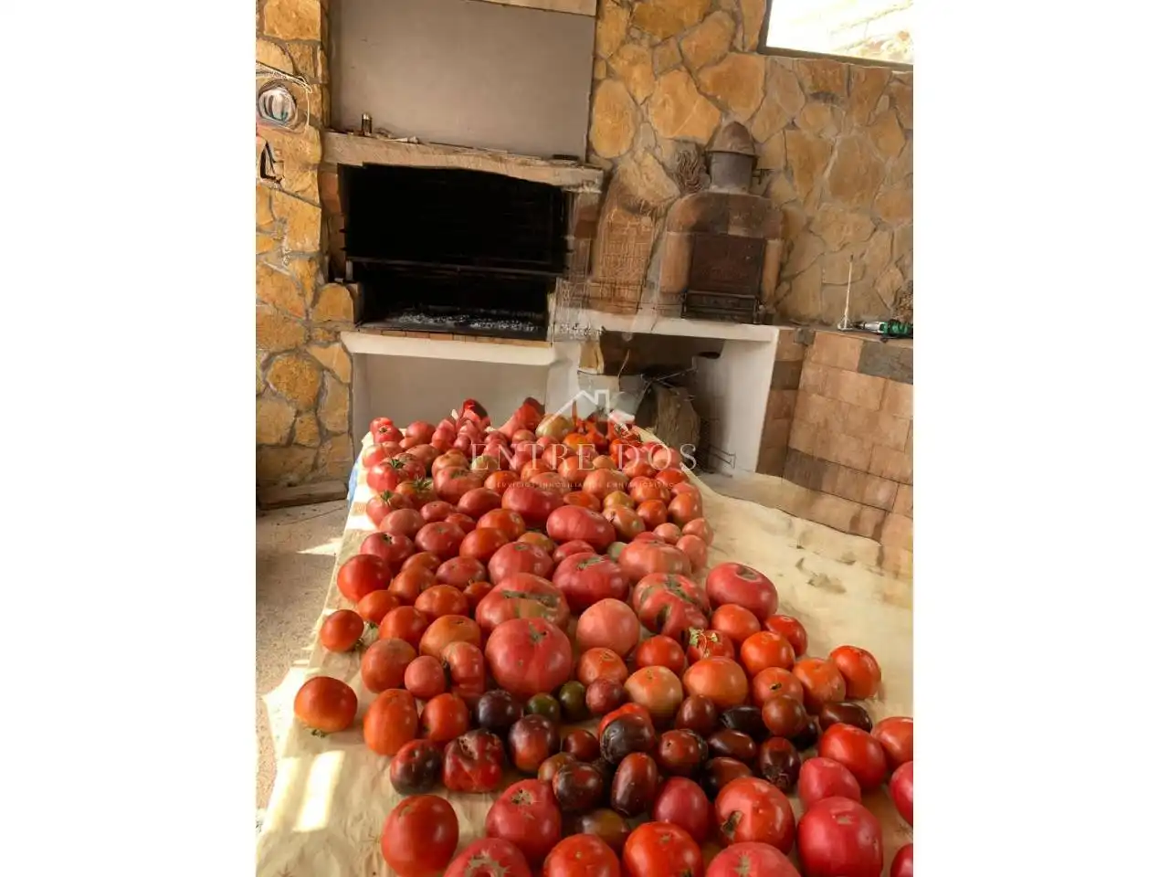 Finca rústica en venda en Sierra Engarcerán amb Jardí privat, Terrassa i Piscina
