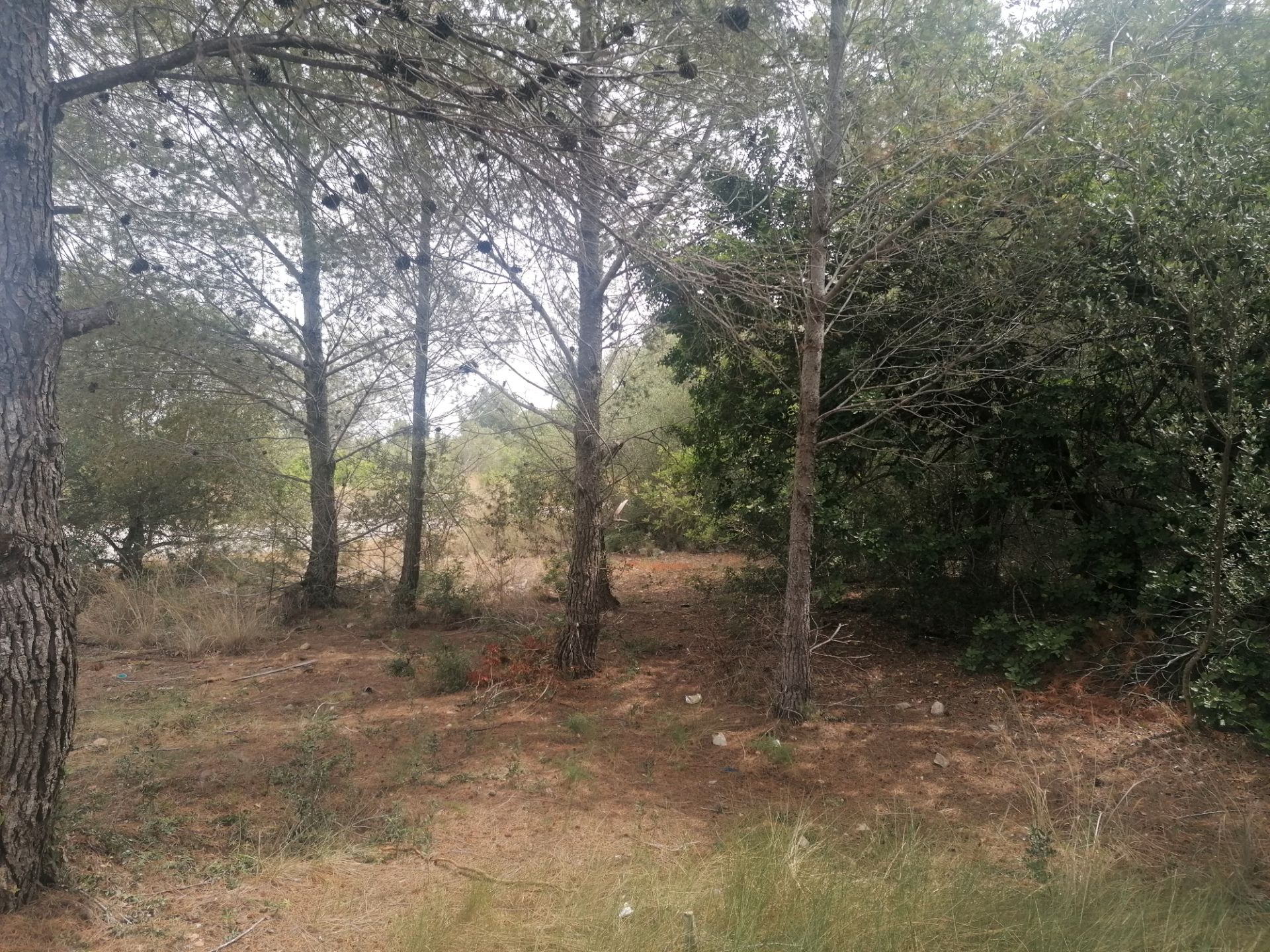 Residential for sale in El Vendrell