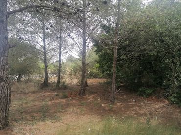 Terrain résidentiel à vendre à Carrer Felip Pedrell 3