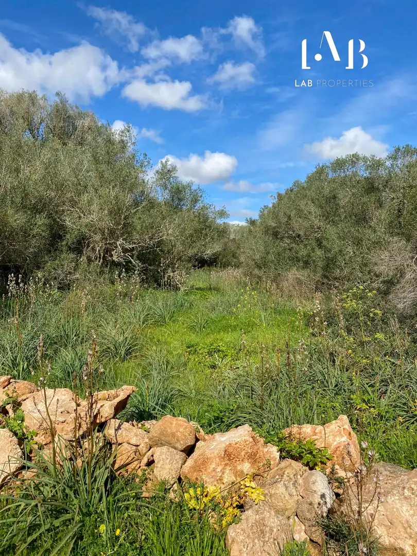 Grundstücke und Bauplätze zum Verkauf in Camino Polígono 3 Parcela 4 ES RAFALET. ALGAIDA (ILLES B, imagen 6