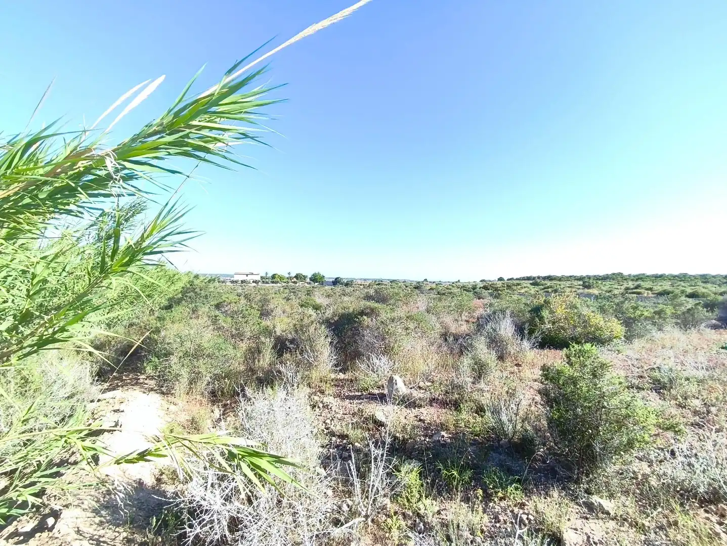 Terreno residencial en venta en Polígono POLIGONO 126 BALSARES 126, imagen 6