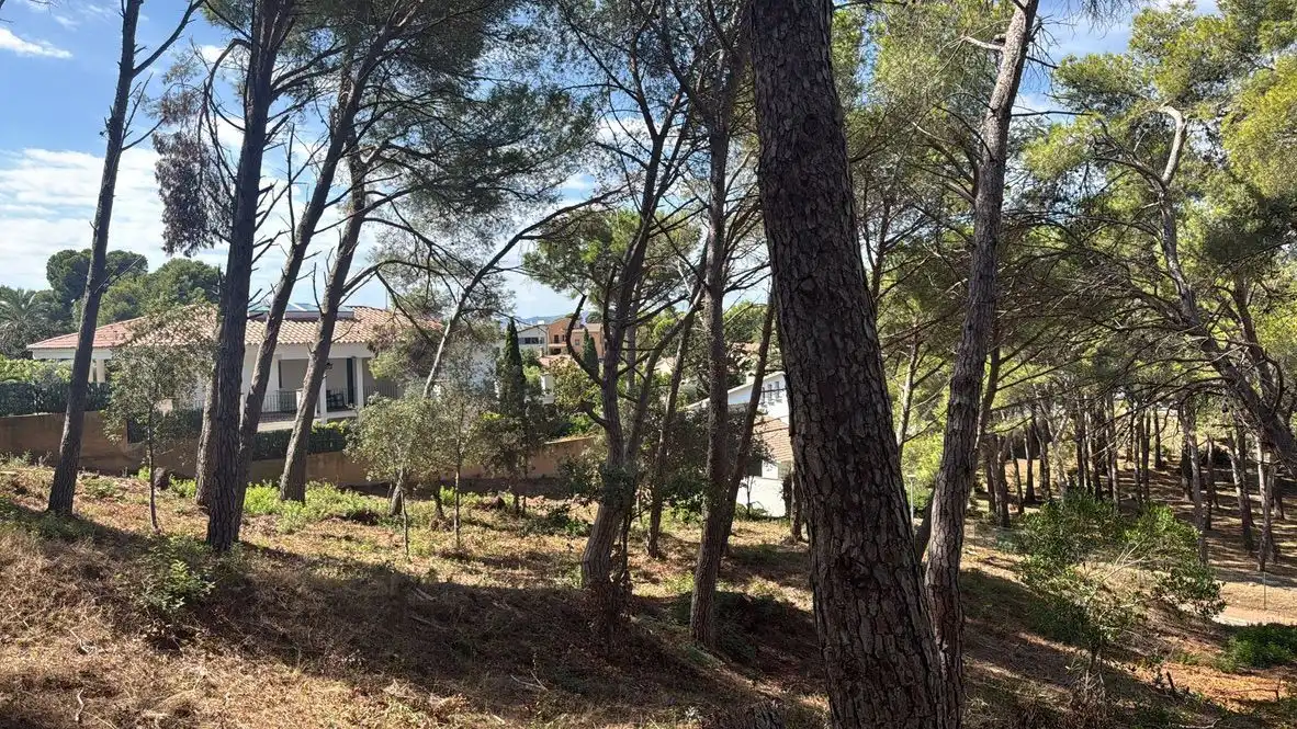 Lands and plots for sale in Sa Tamardia 19, imagen 12
