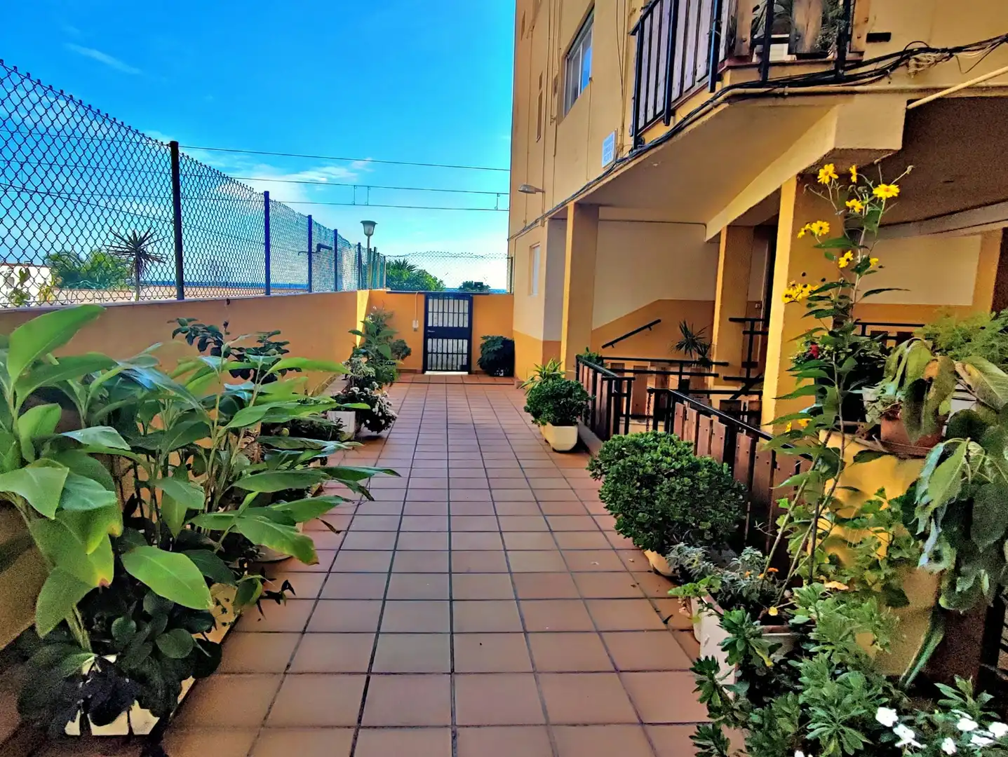 Mini appartamento con terrazza in affitto a Avinguda Maresme, imagen 25