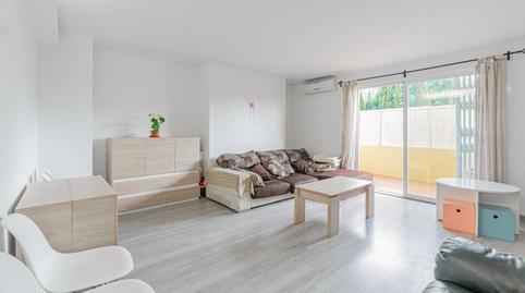 Foto 2 de Planta baja en venta en Calle Galatzo, Sa Indioteria Urbà,  Palma de Mallorca