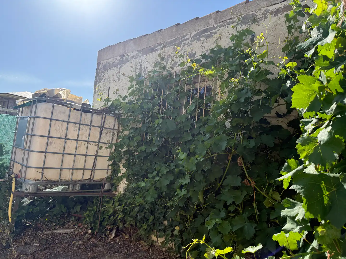 Vista exterior de Casa o chalet en venta en Carrión de los Condes con Aire acondicionado, Calefacción y Jardín privado