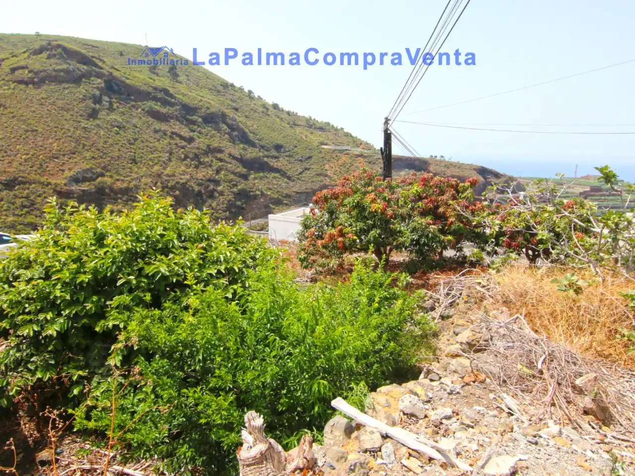 Vista exterior de Terreno en venta en San Andrés y Sauces