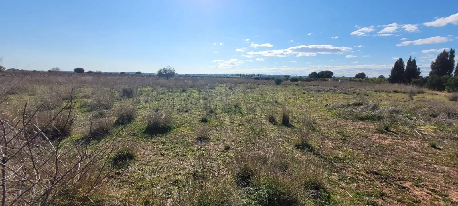 Terrain rustique à vendre à Plaça Poligono N-43.R