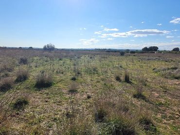 Terreno rustico in vendita a Plaça Poligono N-43.R