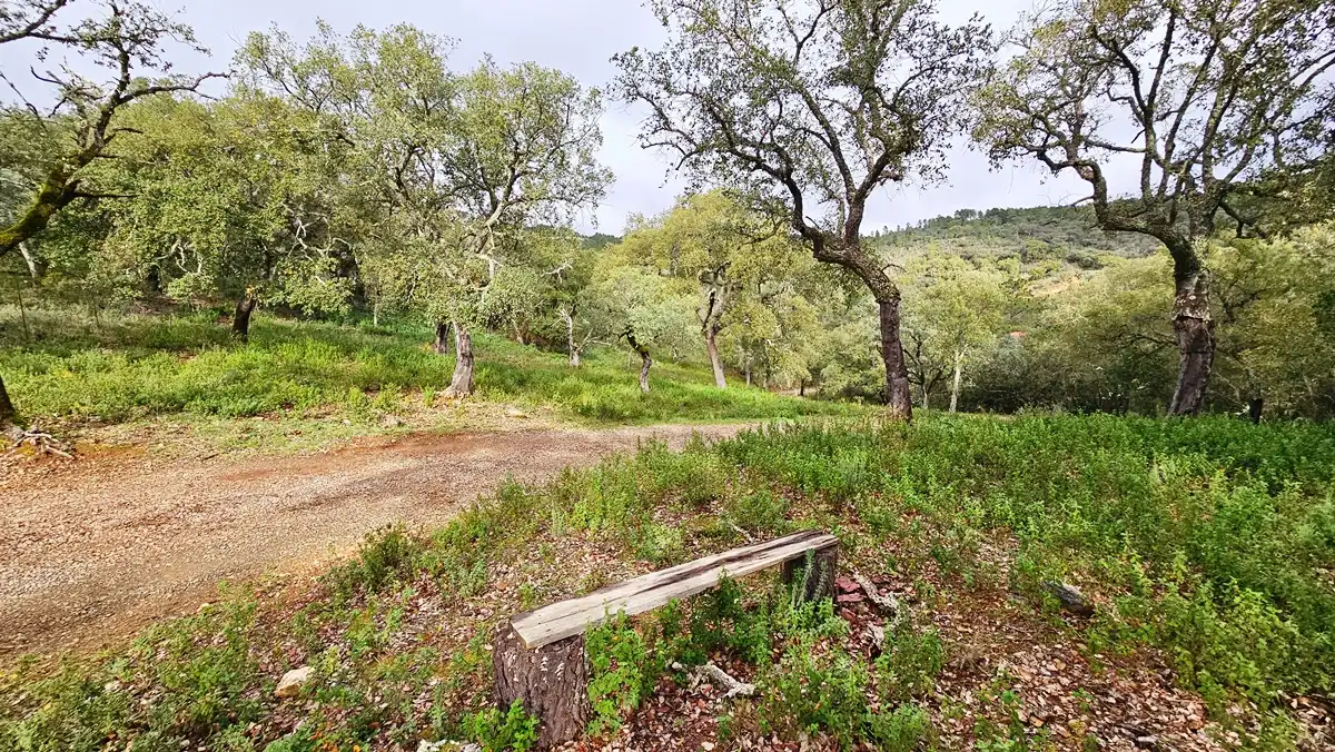 Finca rústica en venta en Santa Ana la Real con Calefacción, Jardín privado y Terraza