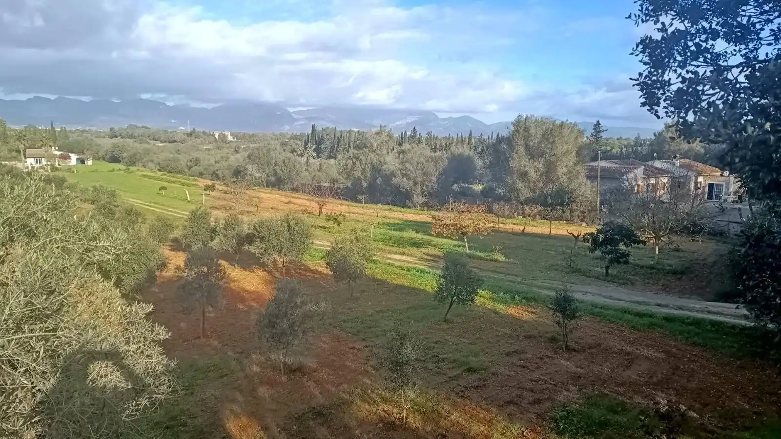 Maison rustique avec jardin à vendre à Sencelles, imagen 3