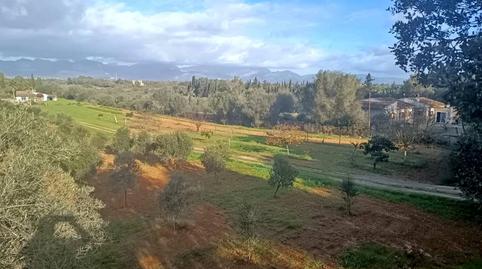 Foto 3 de Finca rústica en venda a Sencelles, Illes Balears
