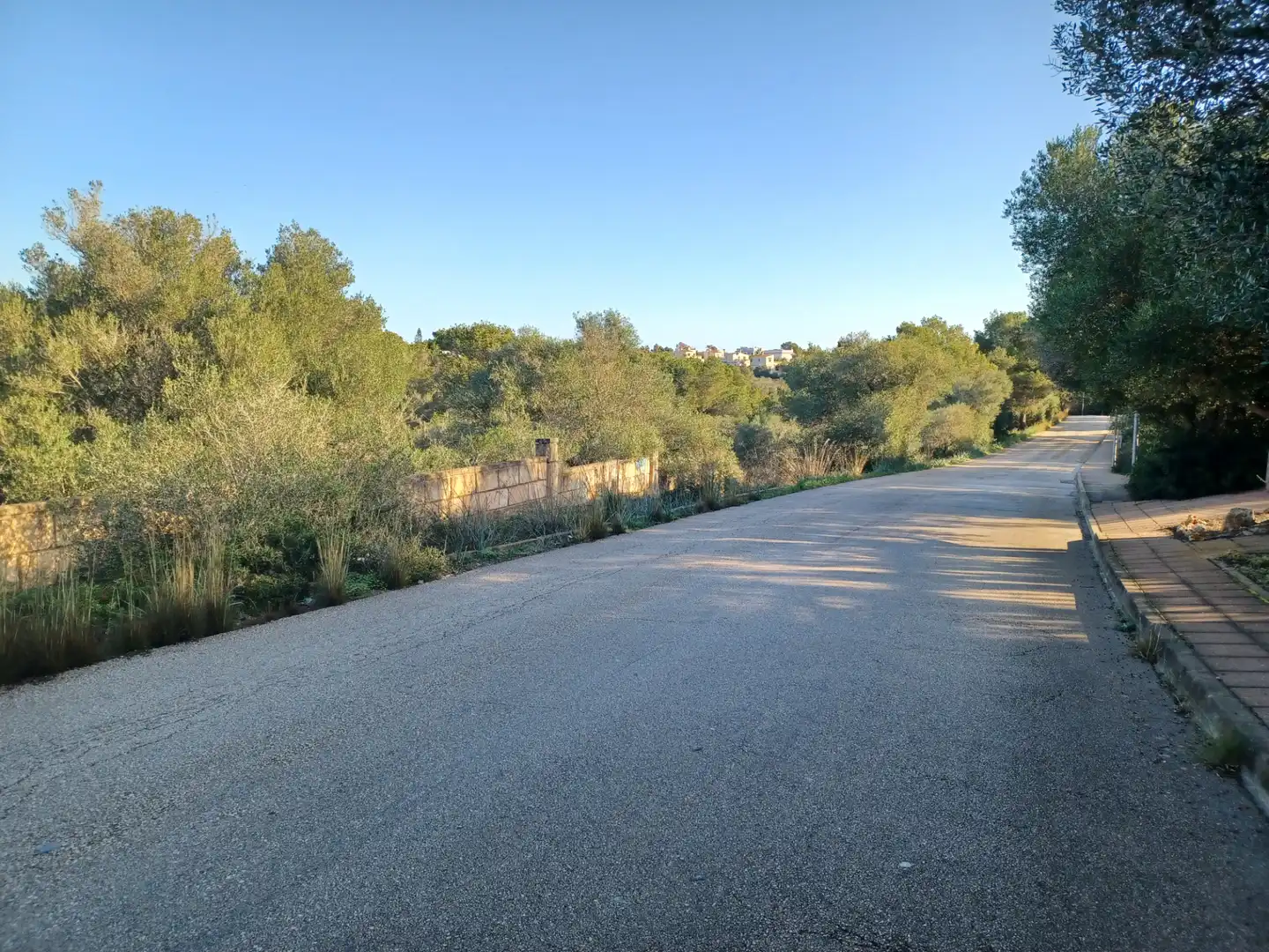 Vista exterior de Residencial en venta en Manacor