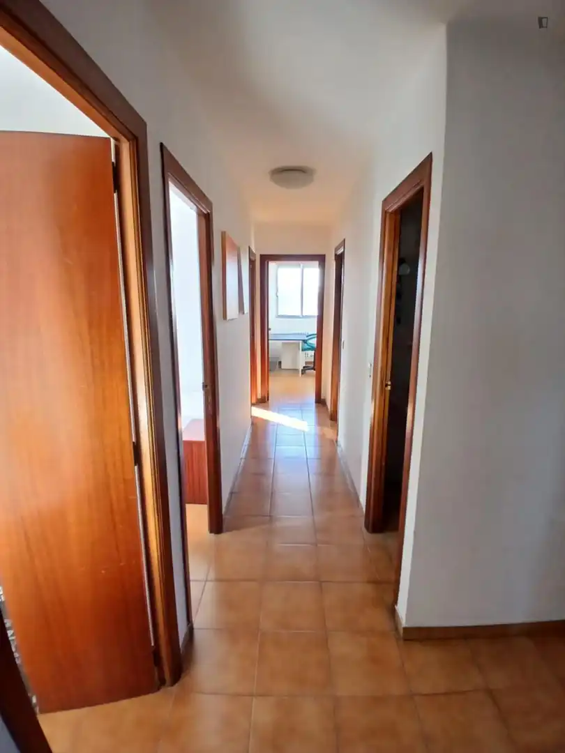 Apartament per a compartir en Valladolid amb Moblat, Forn i Rentadora