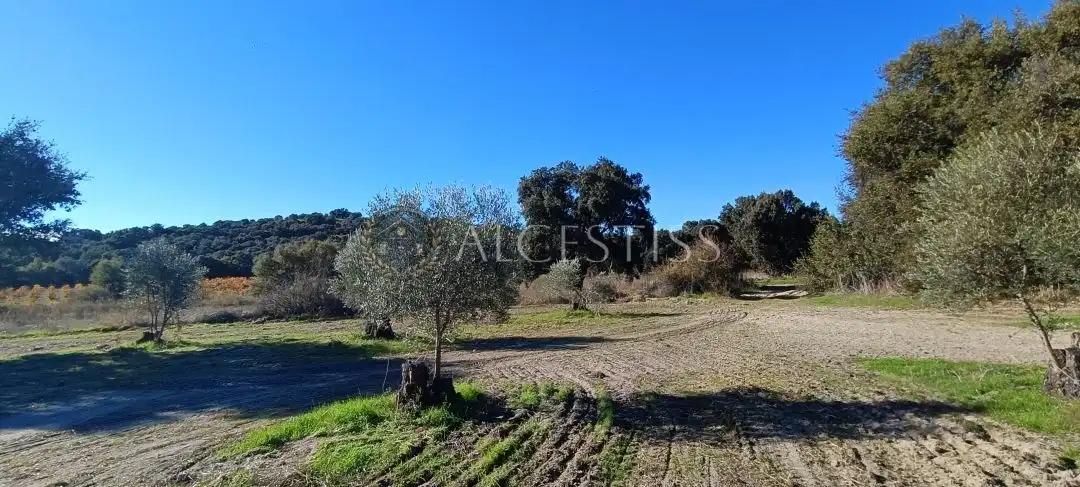 Terreno rústico en venta en Villamanta, imagen 12