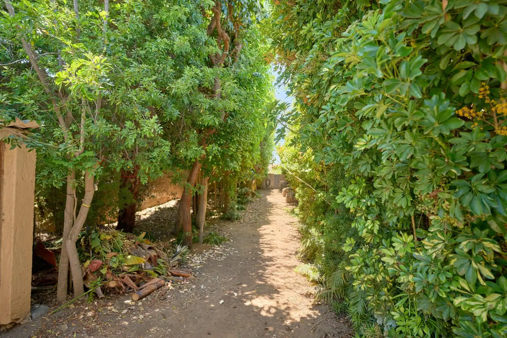 Jardín de Casa o chalet en venta en Santa Úrsula con Aire acondicionado, Calefacción y Jardín privado